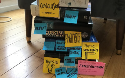 How to….. write a literature essay